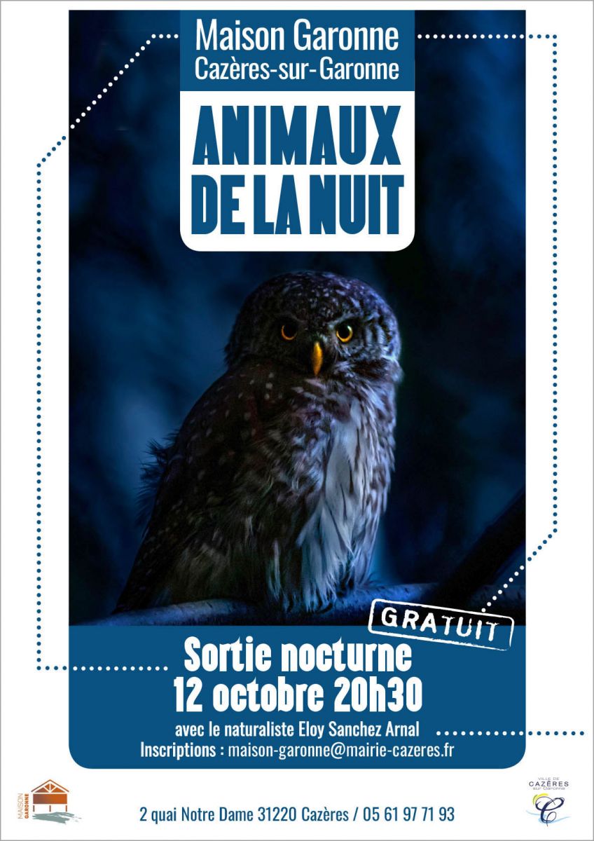 LES ANIMAUX DE LA NUIT