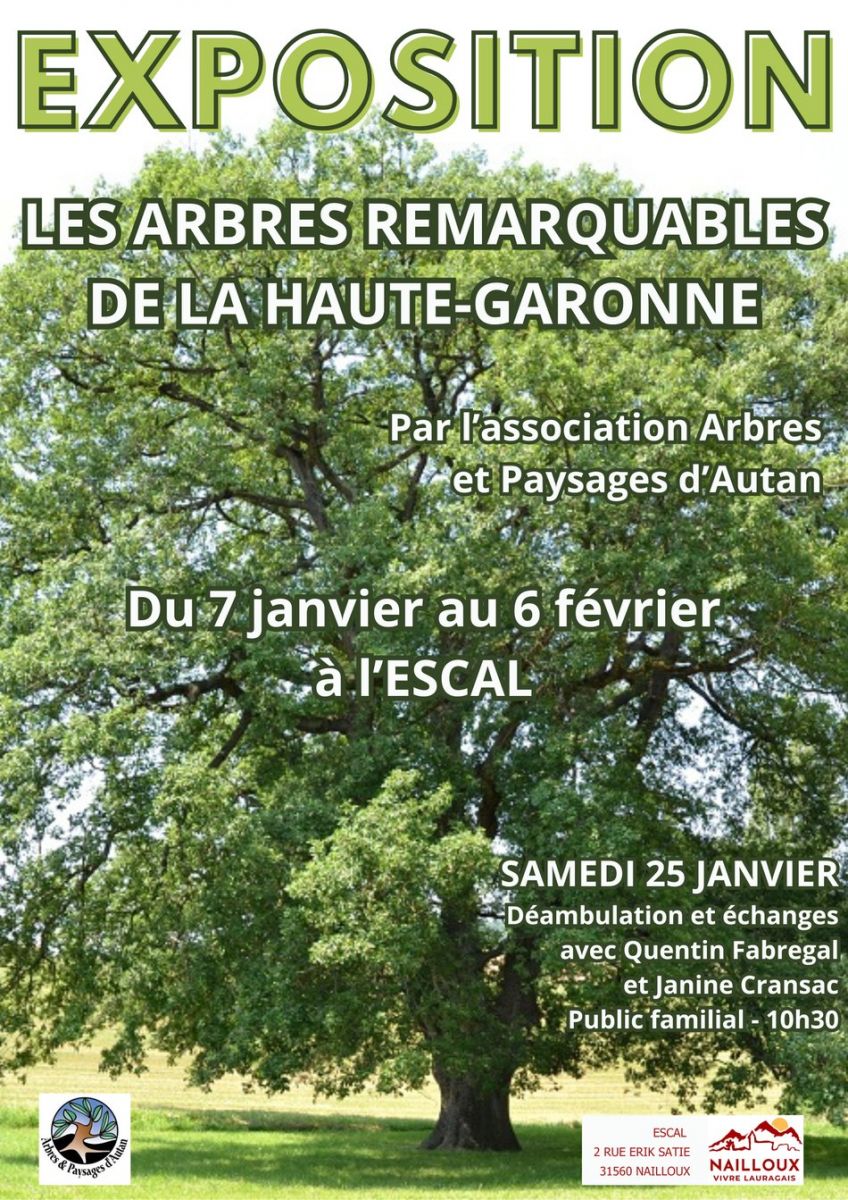 EXPOSITION "LES ARBRES REMARQUABLES DE HAUTE-G ...