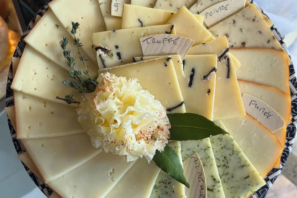 Blue Mouse Cheese Factory