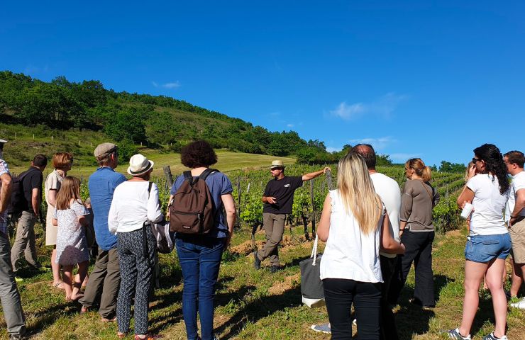 Domain of the Coteaux of Engraviès