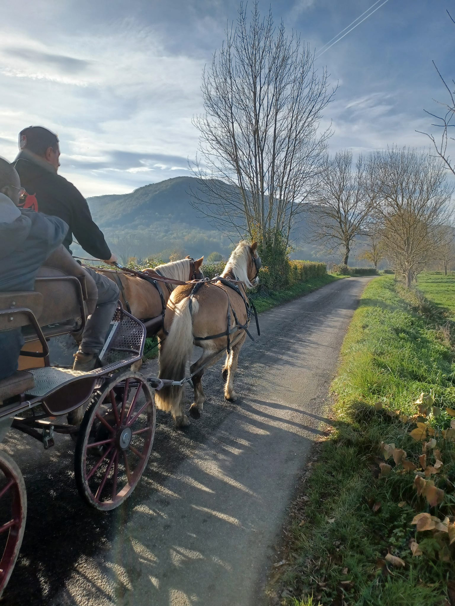 Les Destriers de Saint Bertrand