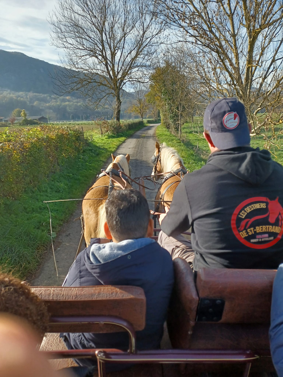 Les Destriers de Saint Bertrand