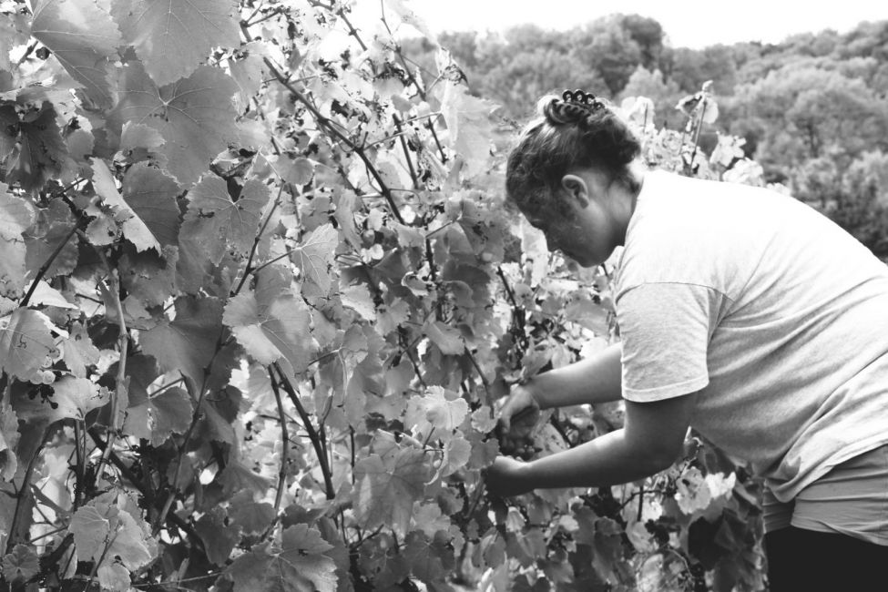 Les Terroirs du Plantaurel