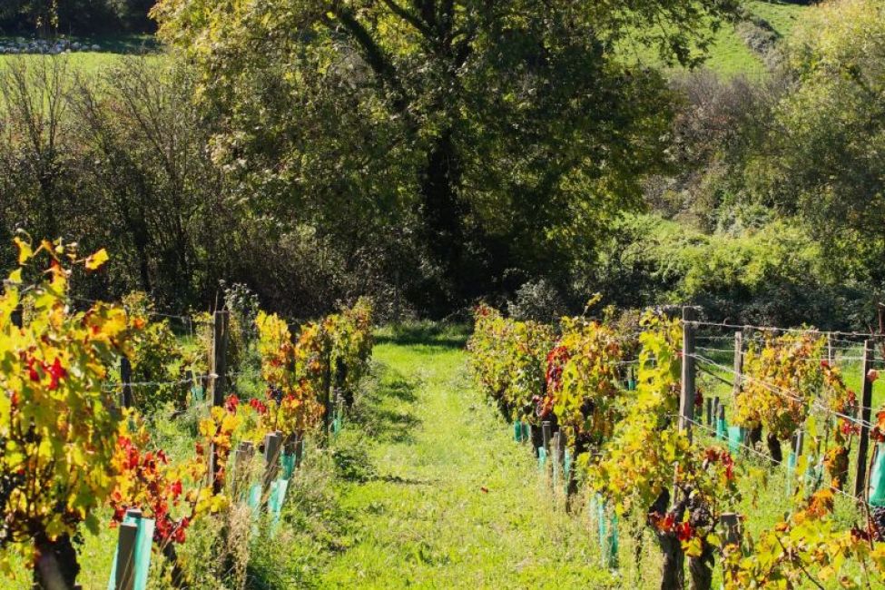 Les Terroirs du Plantaurel