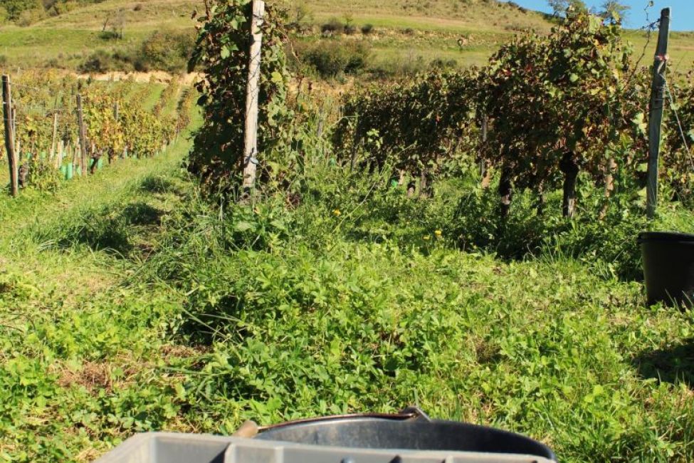 Les Terroirs du Plantaurel