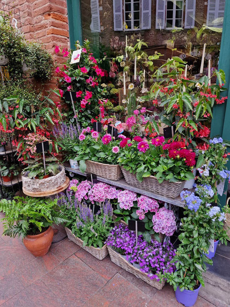 Ginghko & Paon Flowers - Artisan Fleuriste au cœur de Toulouse