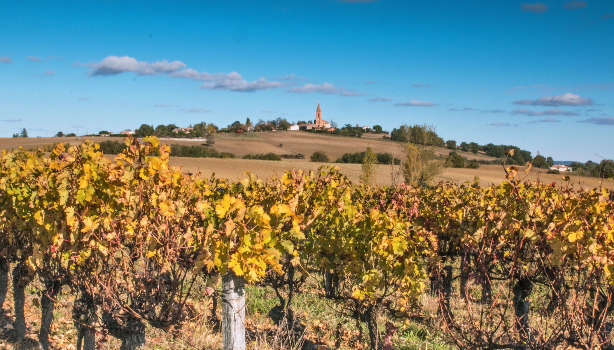 Les vignobles à découvrir autour de Toulouse