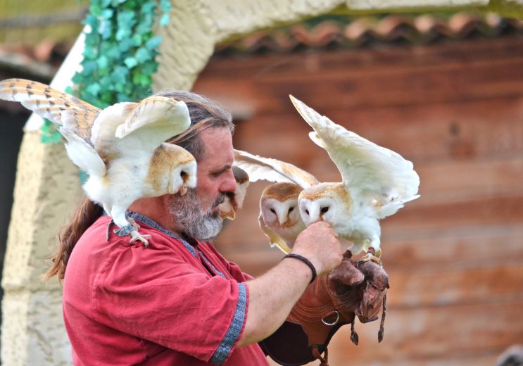 Madiran Birds of Prey Park