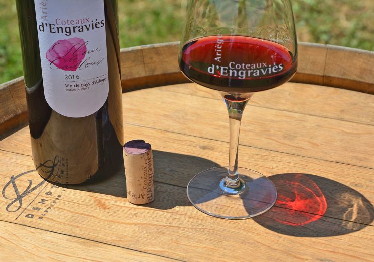 Le Vin d’Ariège, visit of the Engraviès wine e ...