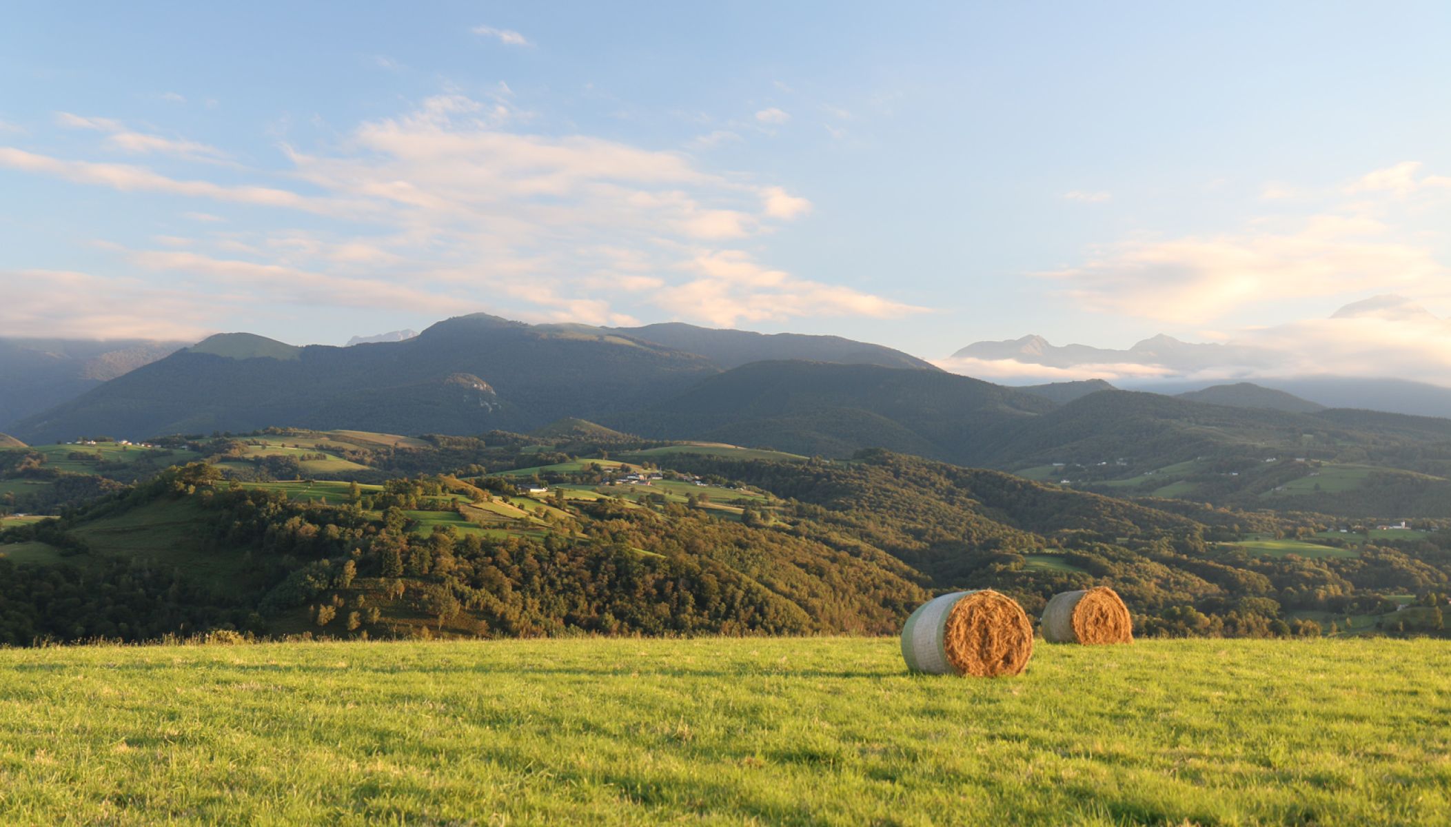 C'est le printemps : Les sites touristiques pour voir les premiers bourgeons