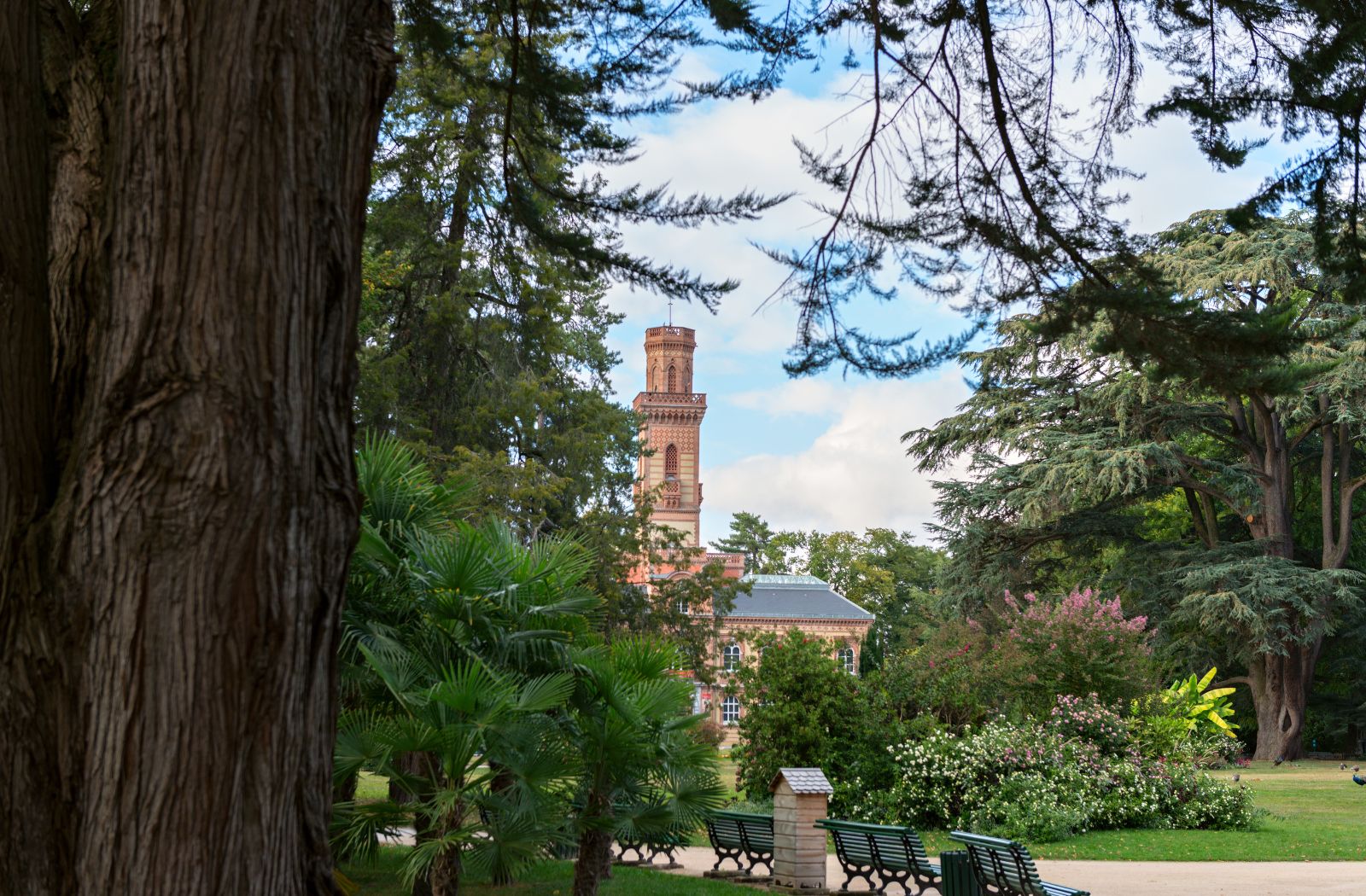 Tarbes, an unmissable heritage!