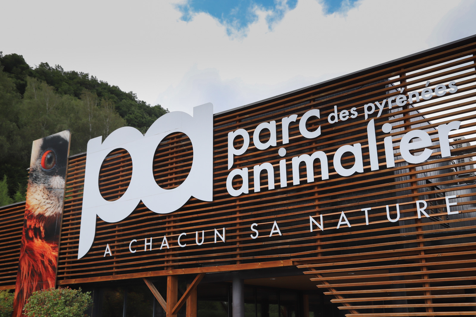 Immersion sauvage au Parc Animalier des Pyrénées - Guide Toulouse Pyrénées