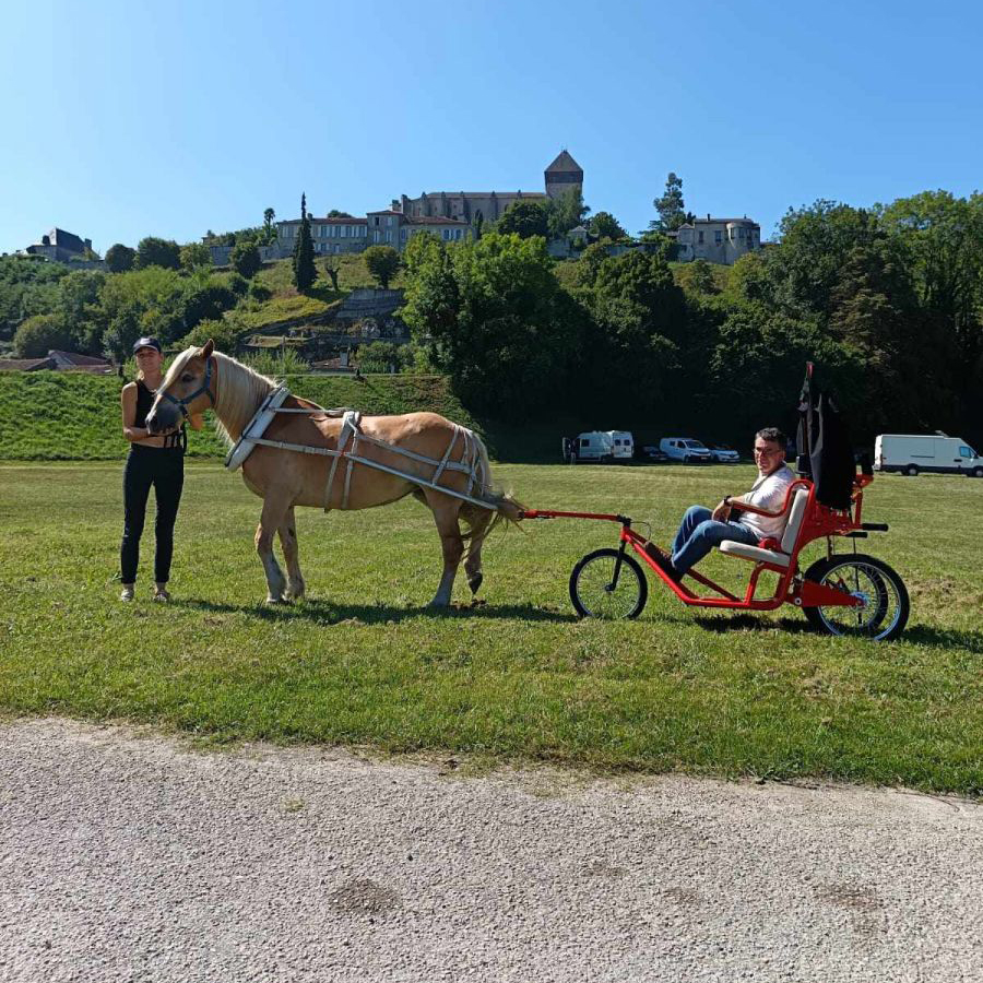 Les Destriers de Saint Bertrand - Balades en calèche et promenades à poney en Haute-Garonne