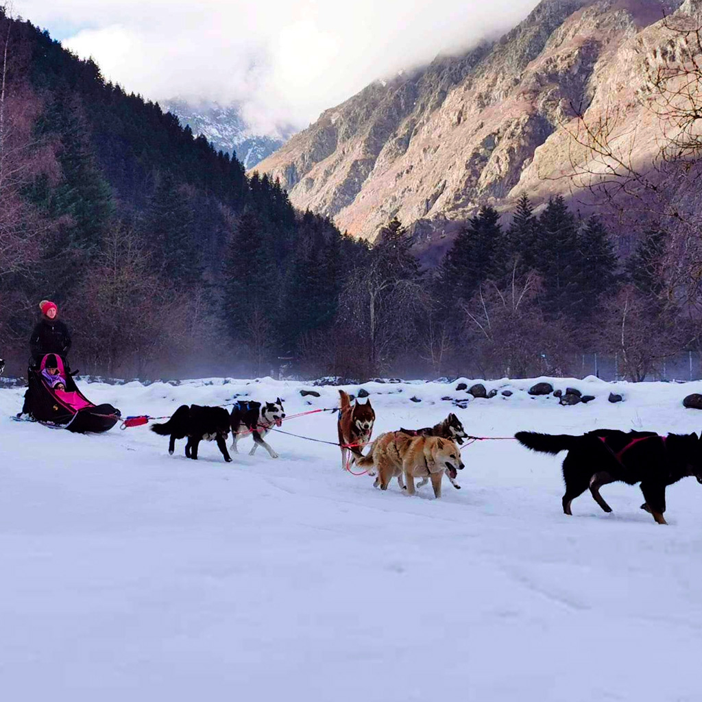 Doggy'sport 85 - A dog sledding experience in the Pyrenees